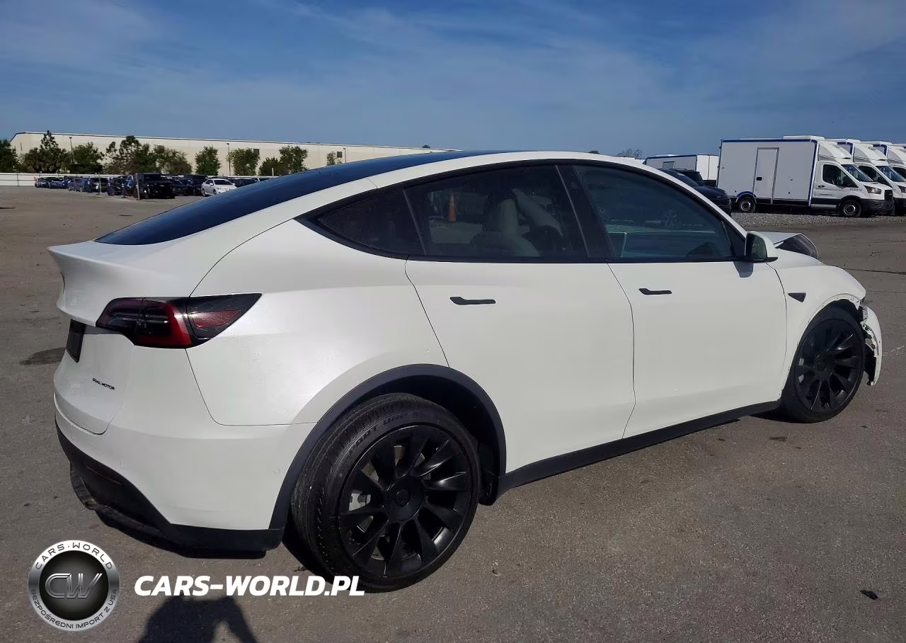 2022 Tesla Model Y VIN:7SAYGDEE1NF541967 - 3