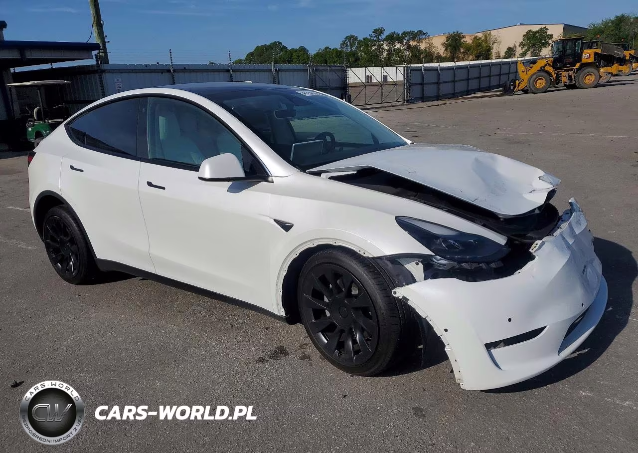 2022 Tesla Model Y VIN:7SAYGDEE1NF541967 - 4