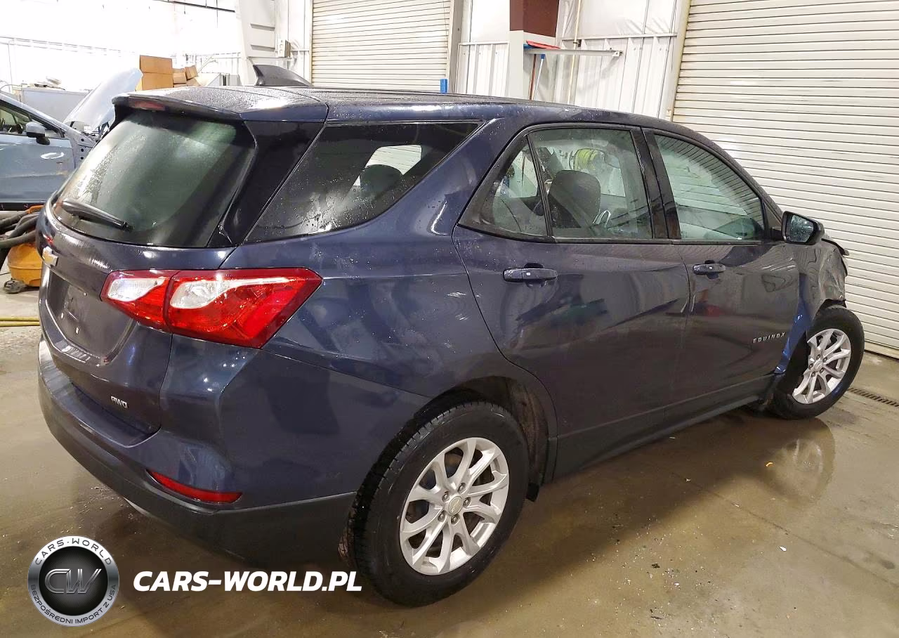 2019 Chevrolet Equinox Ls VIN:3GNAXSEV6KL147050 - 3