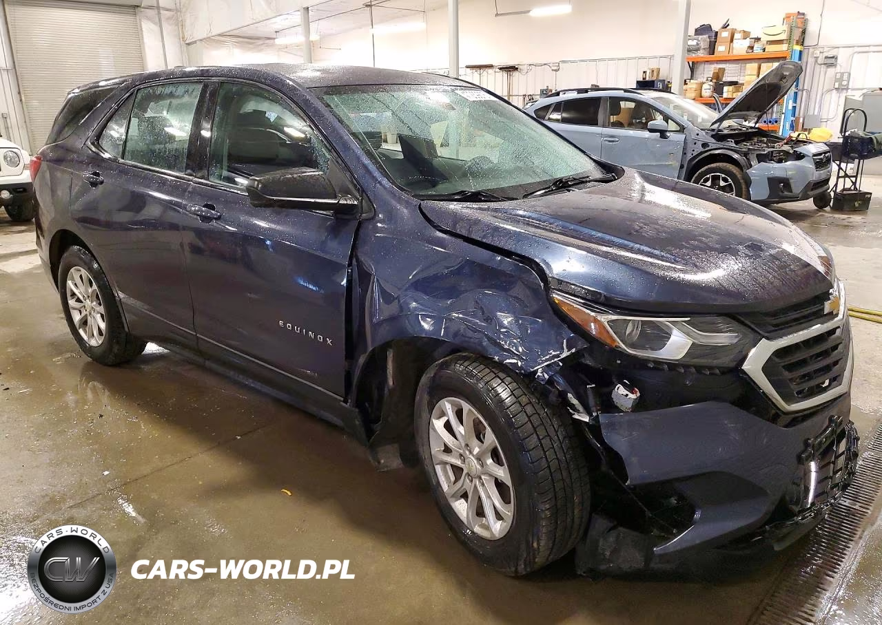 2019 Chevrolet Equinox Ls VIN:3GNAXSEV6KL147050 - 4