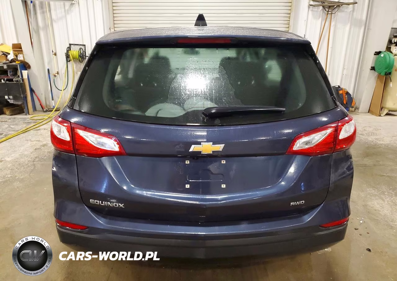 2019 Chevrolet Equinox Ls VIN:3GNAXSEV6KL147050 - 6