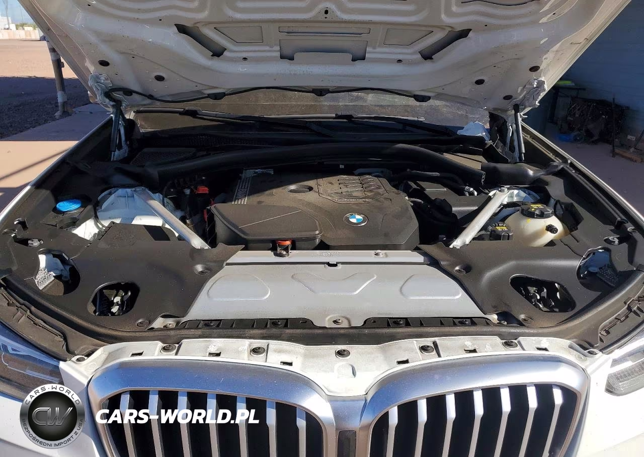 2022 BMW X3 Sdrive30I VIN:5UX43DP02N9J95204 - 11