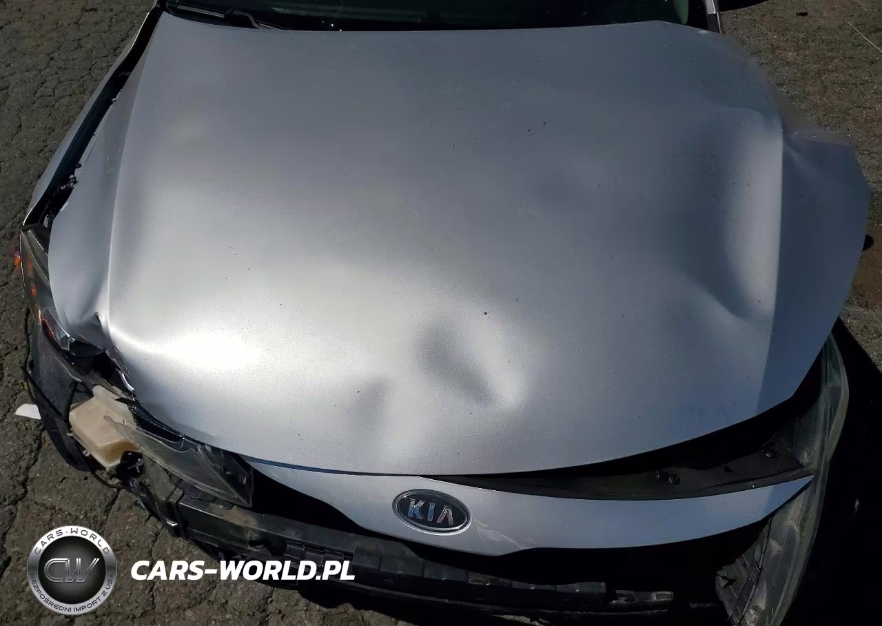 2011 Kia Optima Ex VIN:KNAGN4A78B5065331 - 11