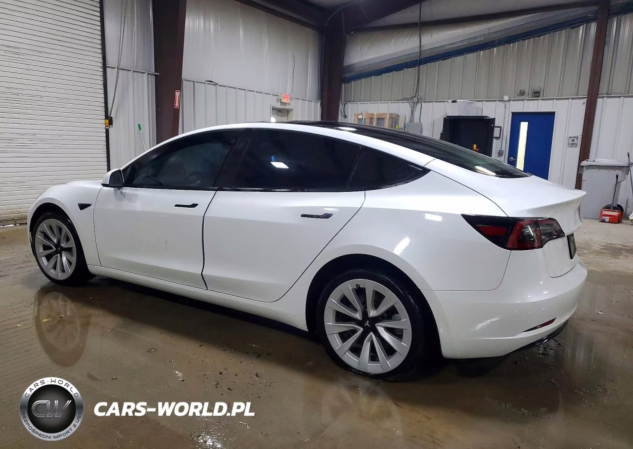 2023 Tesla Model 3 VIN:5YJ3E1EA8PF609449 - 2