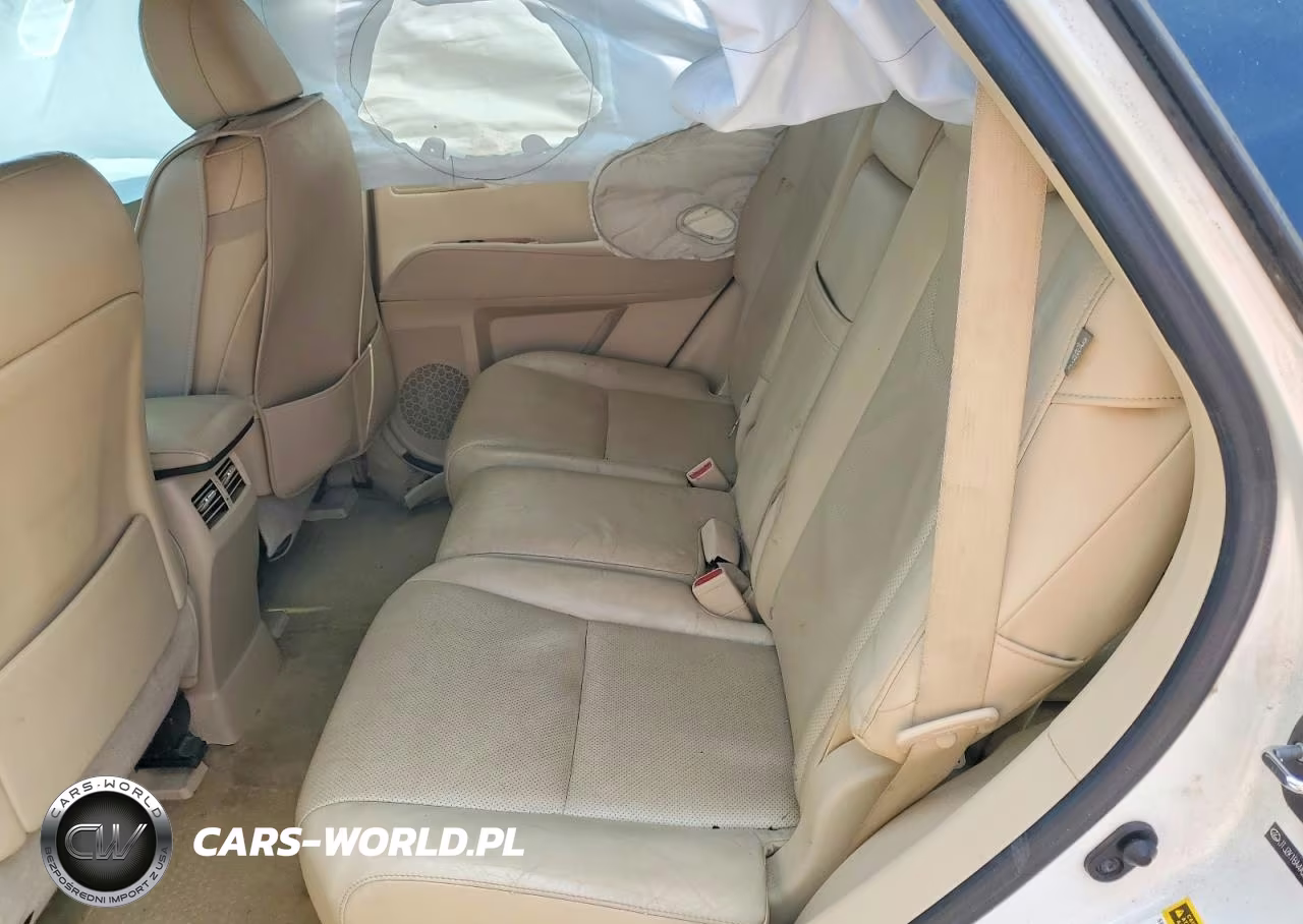 2010 Lexus Rx 350 Base VIN:JTJZK1BA4A2001457 - 10