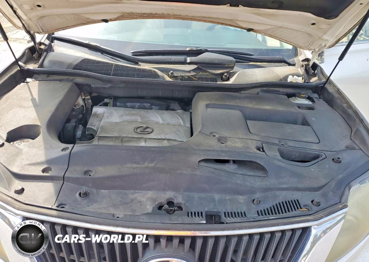 2010 Lexus Rx 350 Base VIN:JTJZK1BA4A2001457 - 11