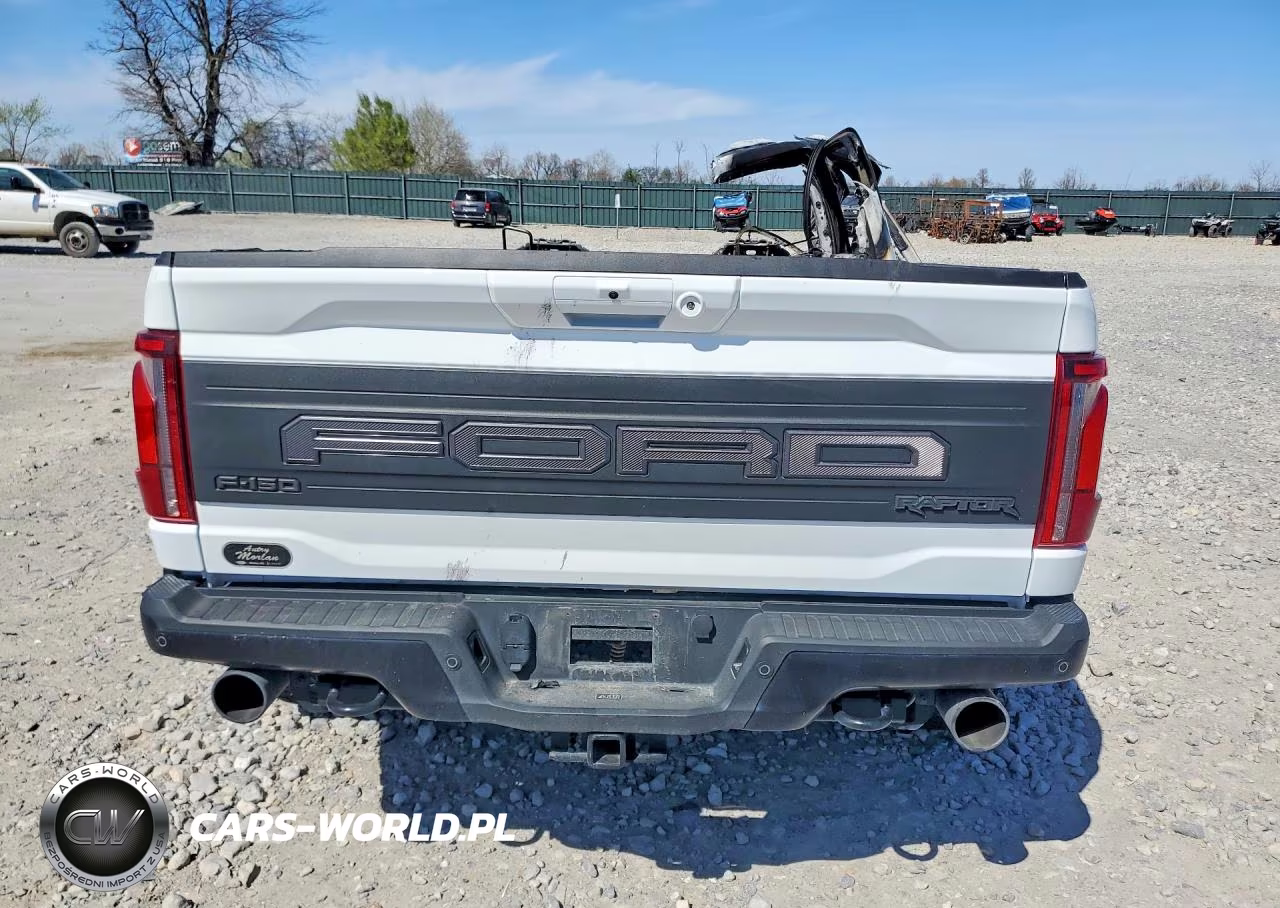 2025 Ford F150 Raptor VIN:1FTFW1RG6SFC66041 - 6