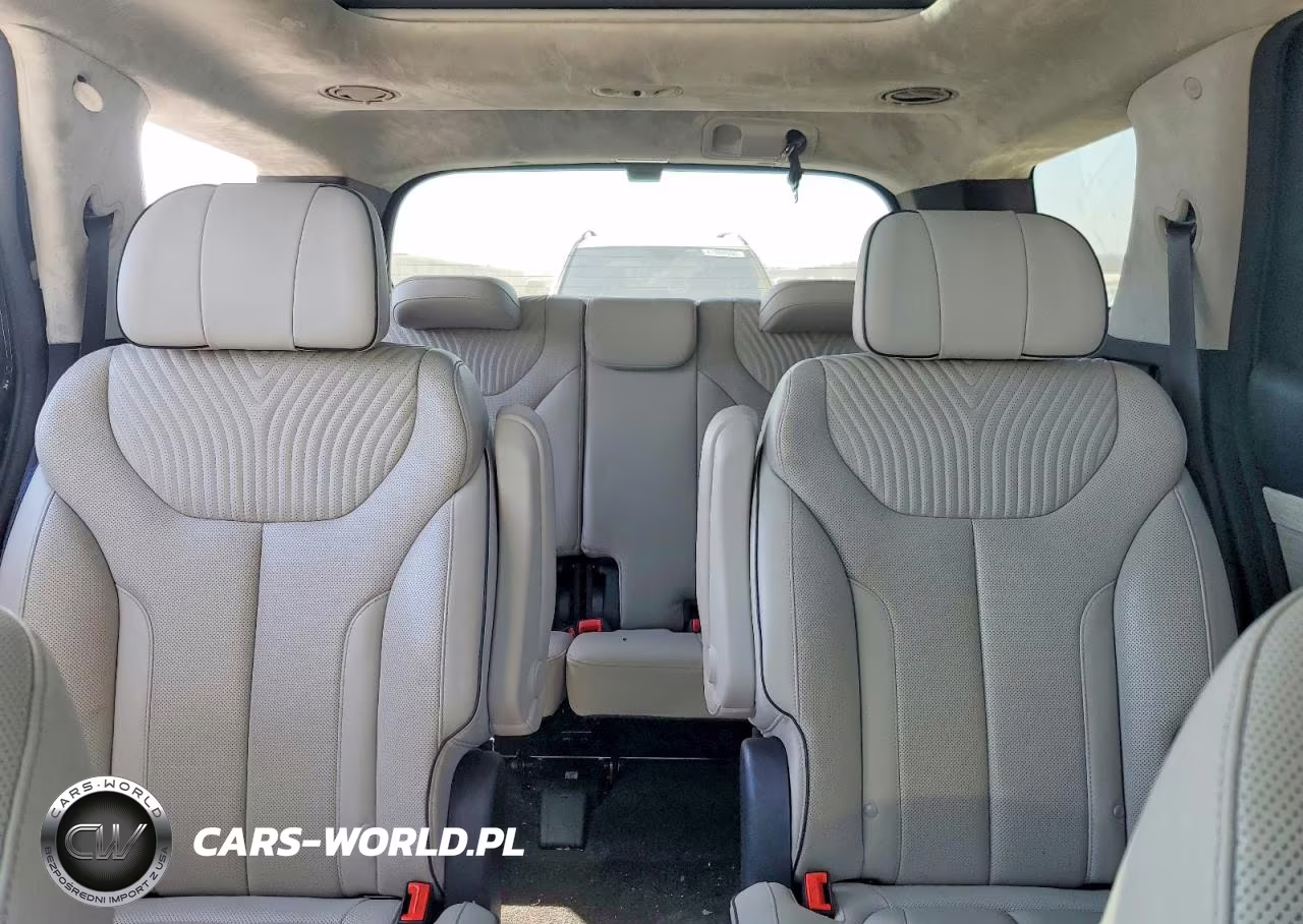 2023 Hyundai Palisade Calligraphy VIN:KM8R74GEXPU508194 - 10