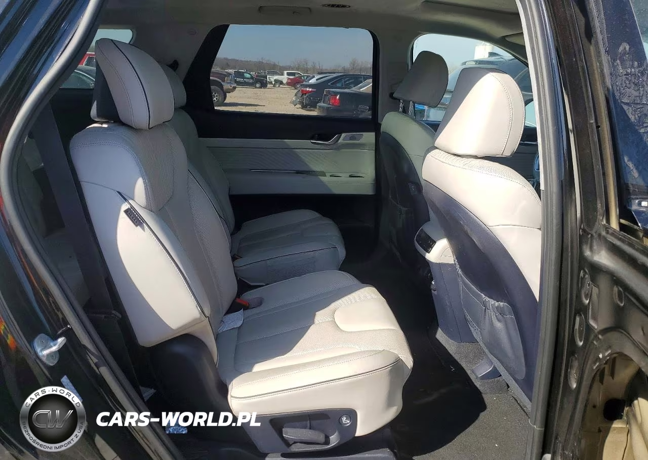2023 Hyundai Palisade Calligraphy VIN:KM8R74GEXPU508194 - 11