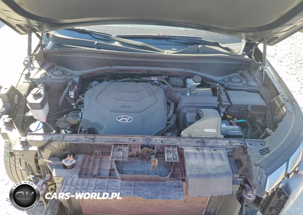 2023 Hyundai Palisade Calligraphy VIN:KM8R74GEXPU508194 - 12