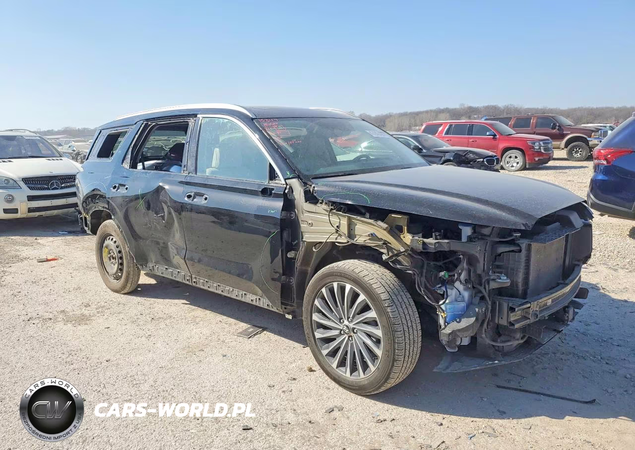 2023 Hyundai Palisade Calligraphy VIN:KM8R74GEXPU508194 - 4