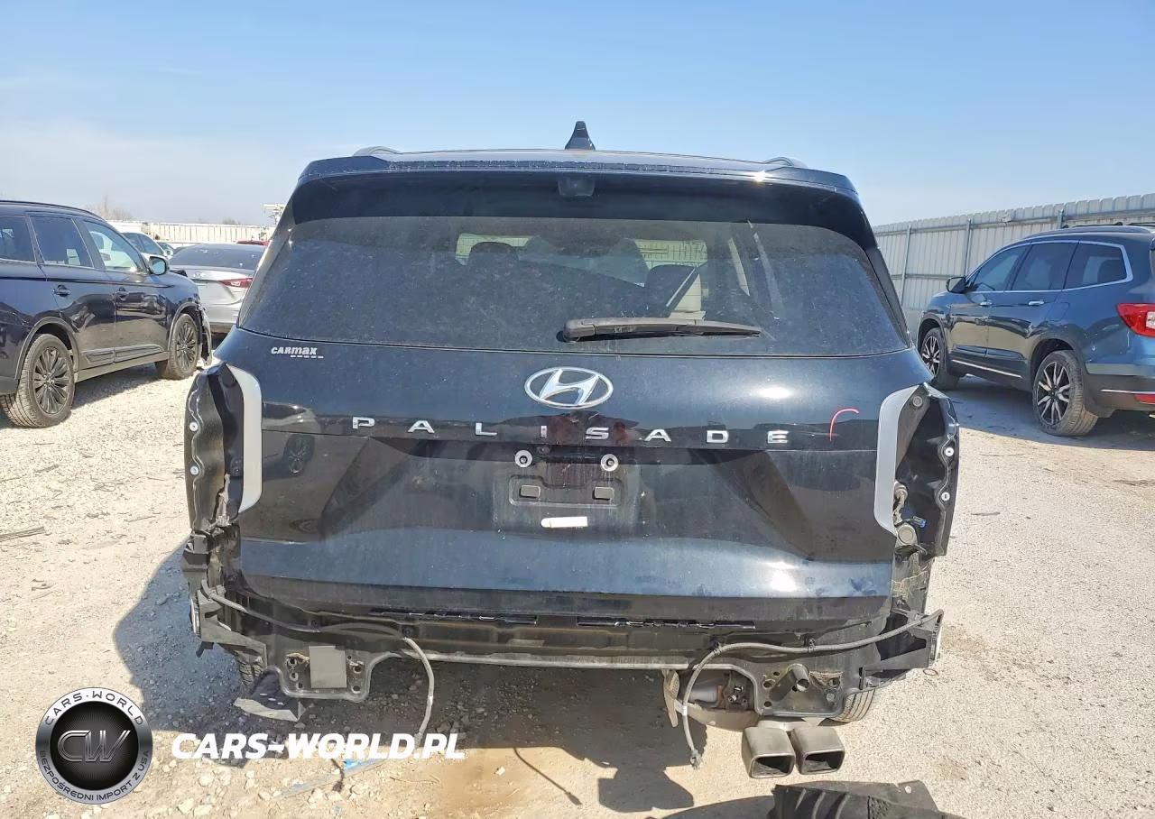 2023 Hyundai Palisade Calligraphy VIN:KM8R74GEXPU508194 - 6