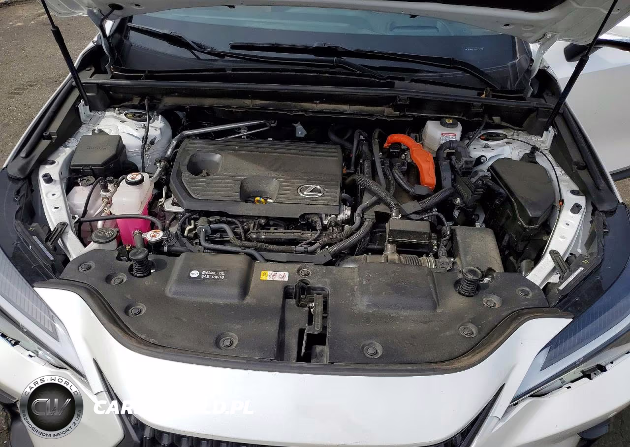2024 Lexus Nx 350H Premium VIN:JTJGKCEZ2R5013573 - 11