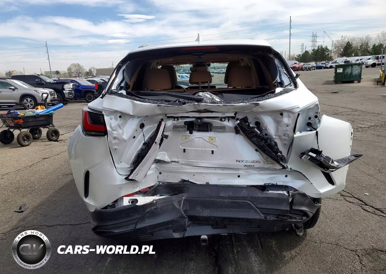 2024 Lexus Nx 350H Premium VIN:JTJGKCEZ2R5013573 - 6