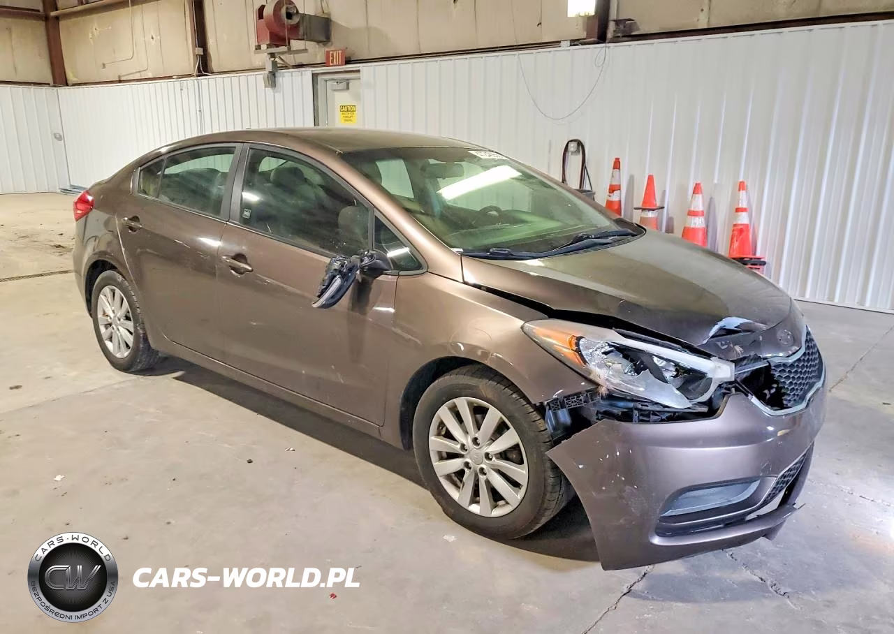 2014 Kia Forte Lx VIN:KNAFX4A69E5208420 - 4