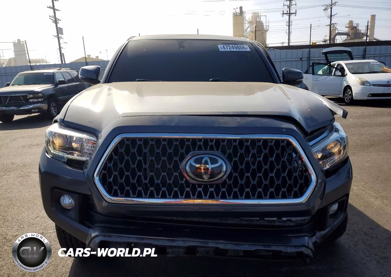 2019 Toyota Tacoma Trd Off-Road VIN:3TMCZ5ANXKM239002 - 5
