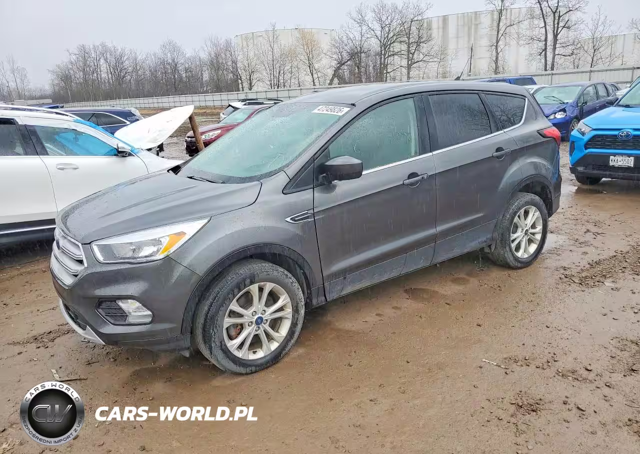2019 Ford Escape Se