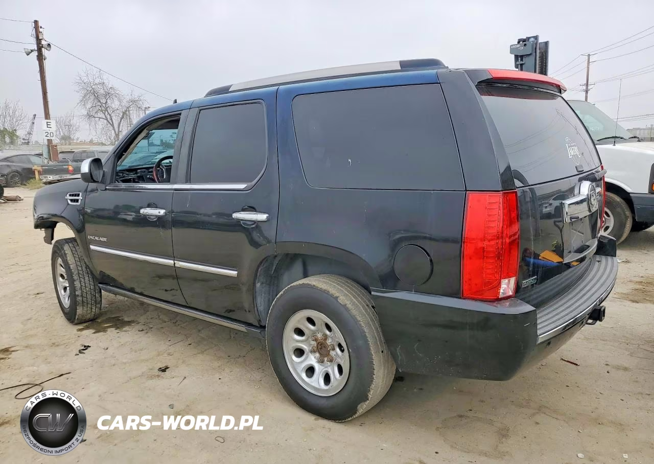 2010 Cadillac Escalade Premium VIN:1GYUCCEF6AR291568 - 2