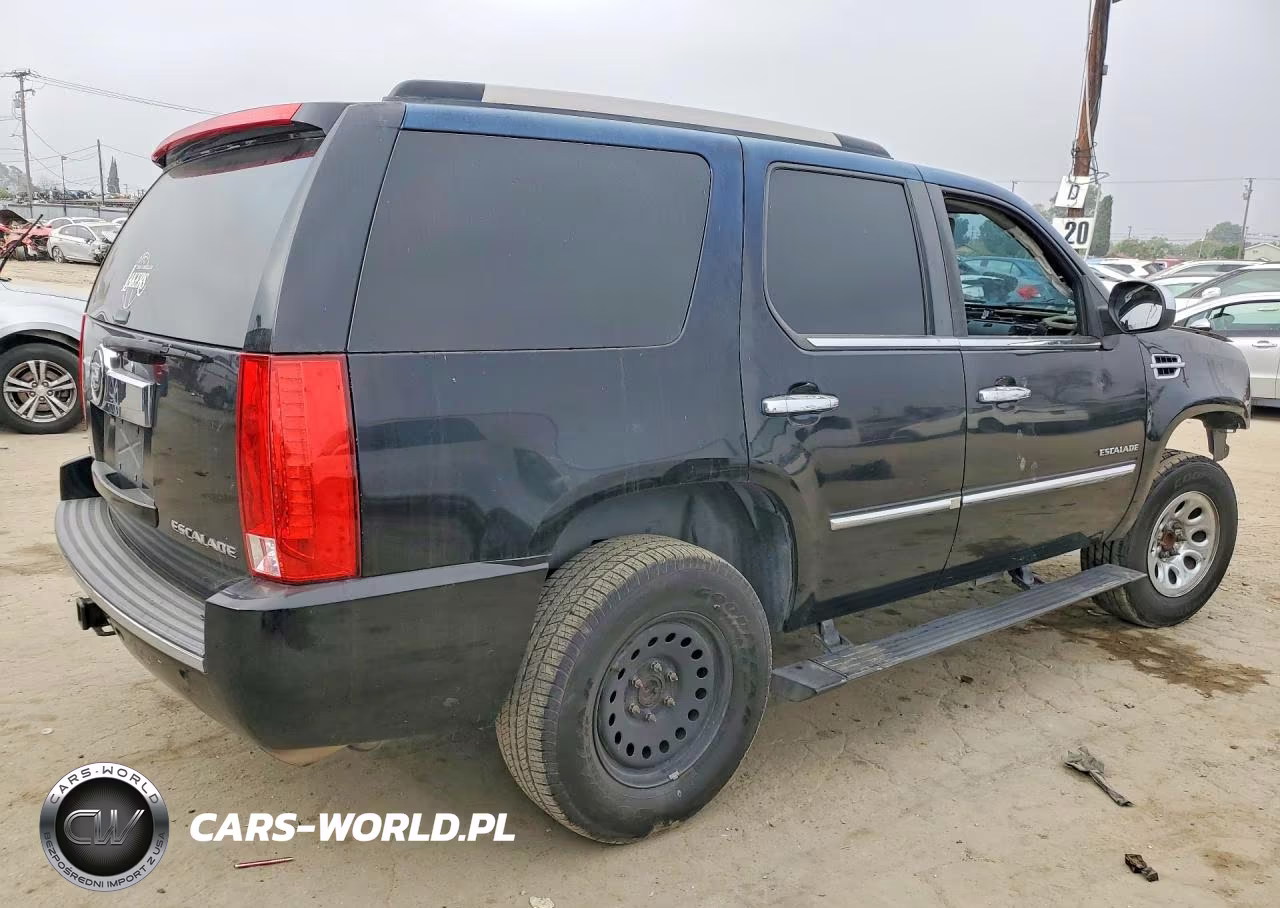 2010 Cadillac Escalade Premium VIN:1GYUCCEF6AR291568 - 3