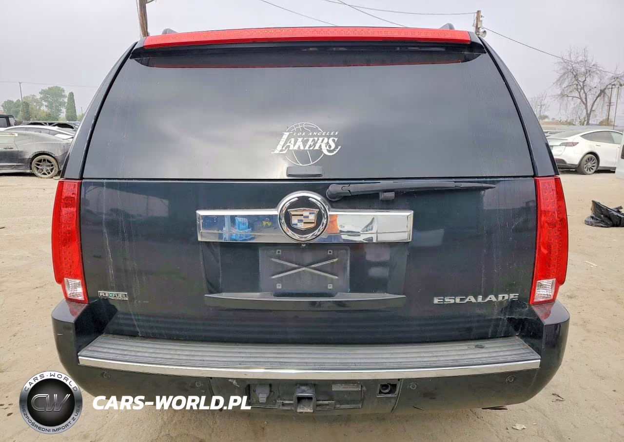 2010 Cadillac Escalade Premium VIN:1GYUCCEF6AR291568 - 6