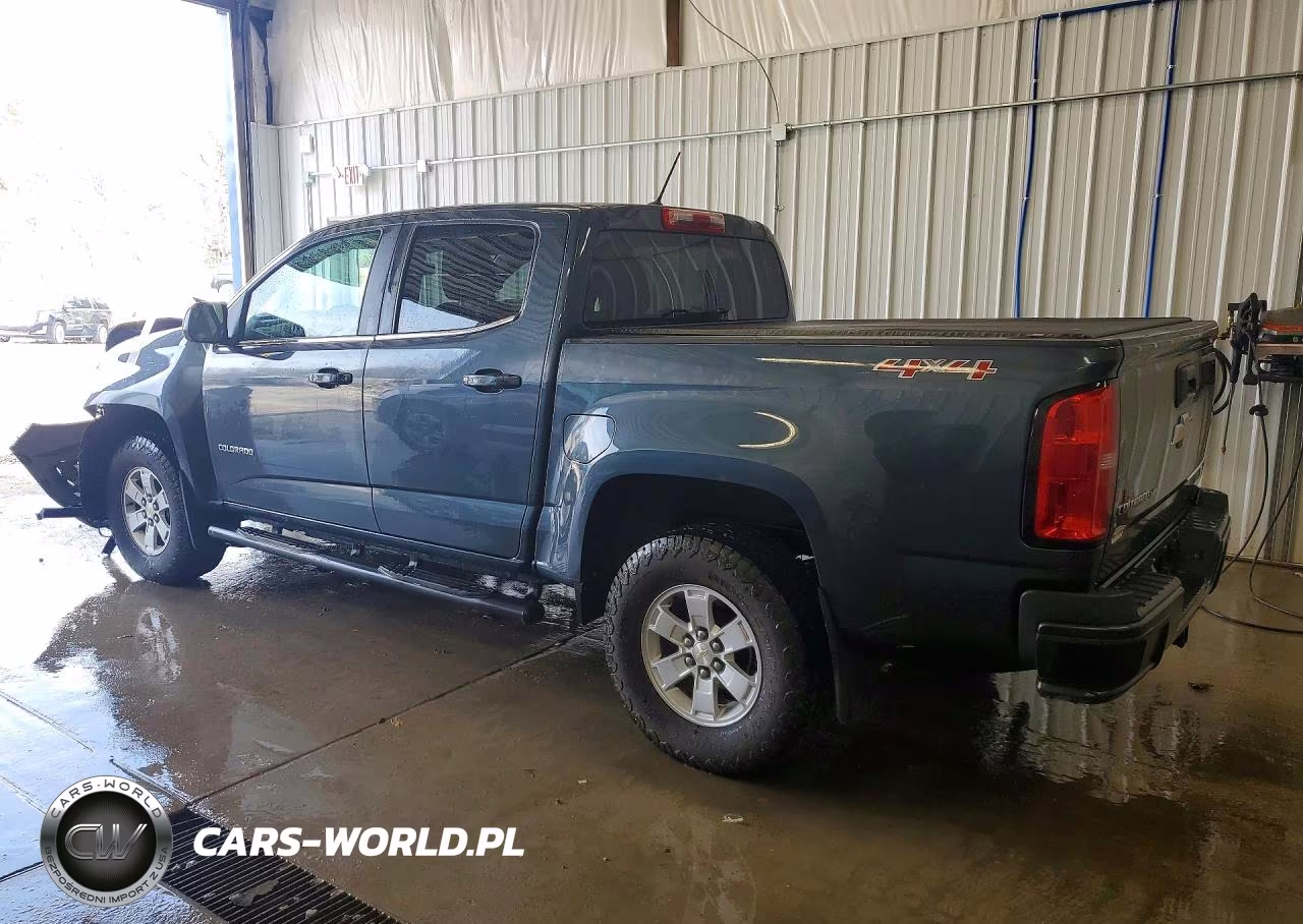 2019 Chevrolet Colorado VIN:1GCGTBEN9K1228078 - 2