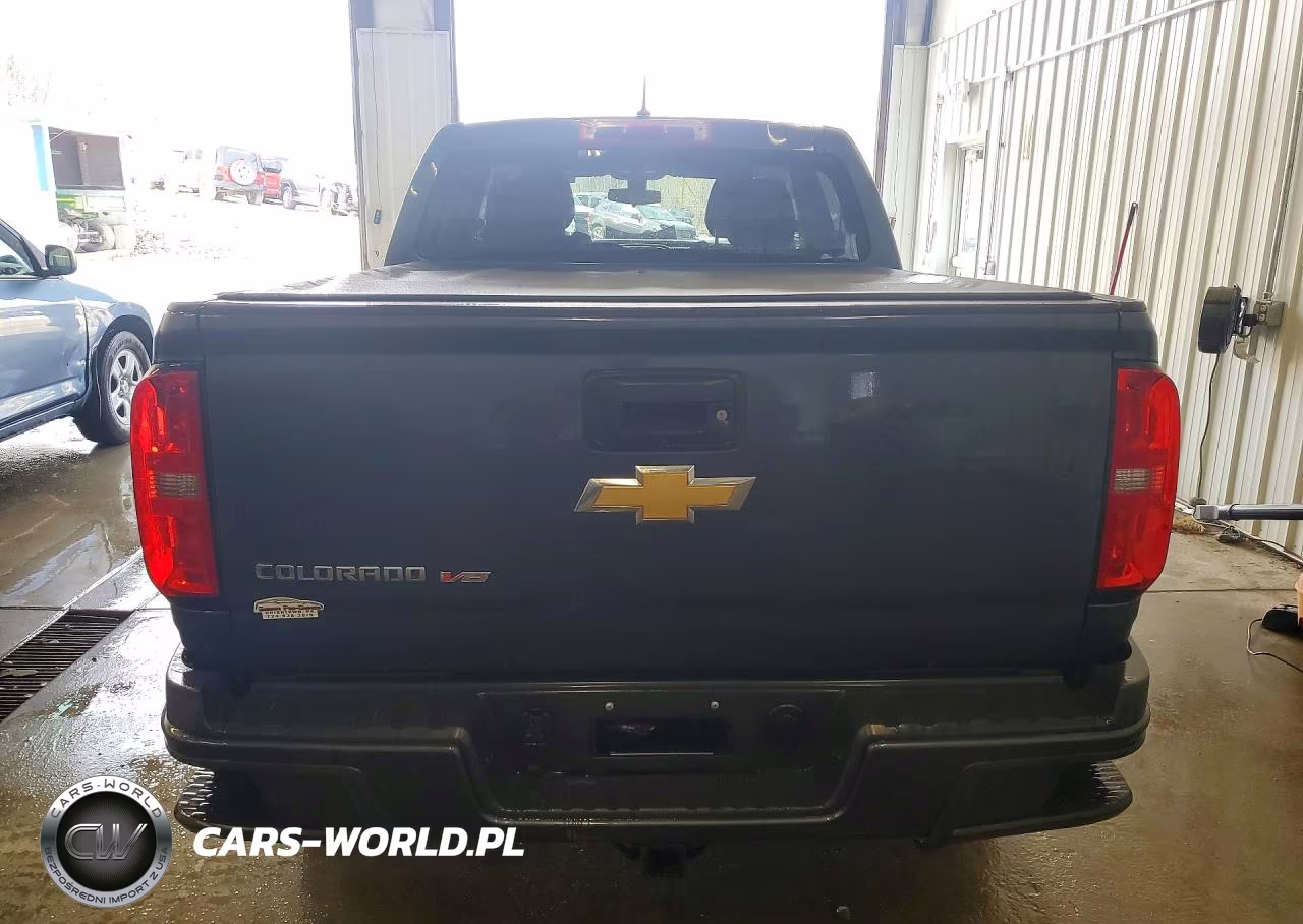 2019 Chevrolet Colorado VIN:1GCGTBEN9K1228078 - 6