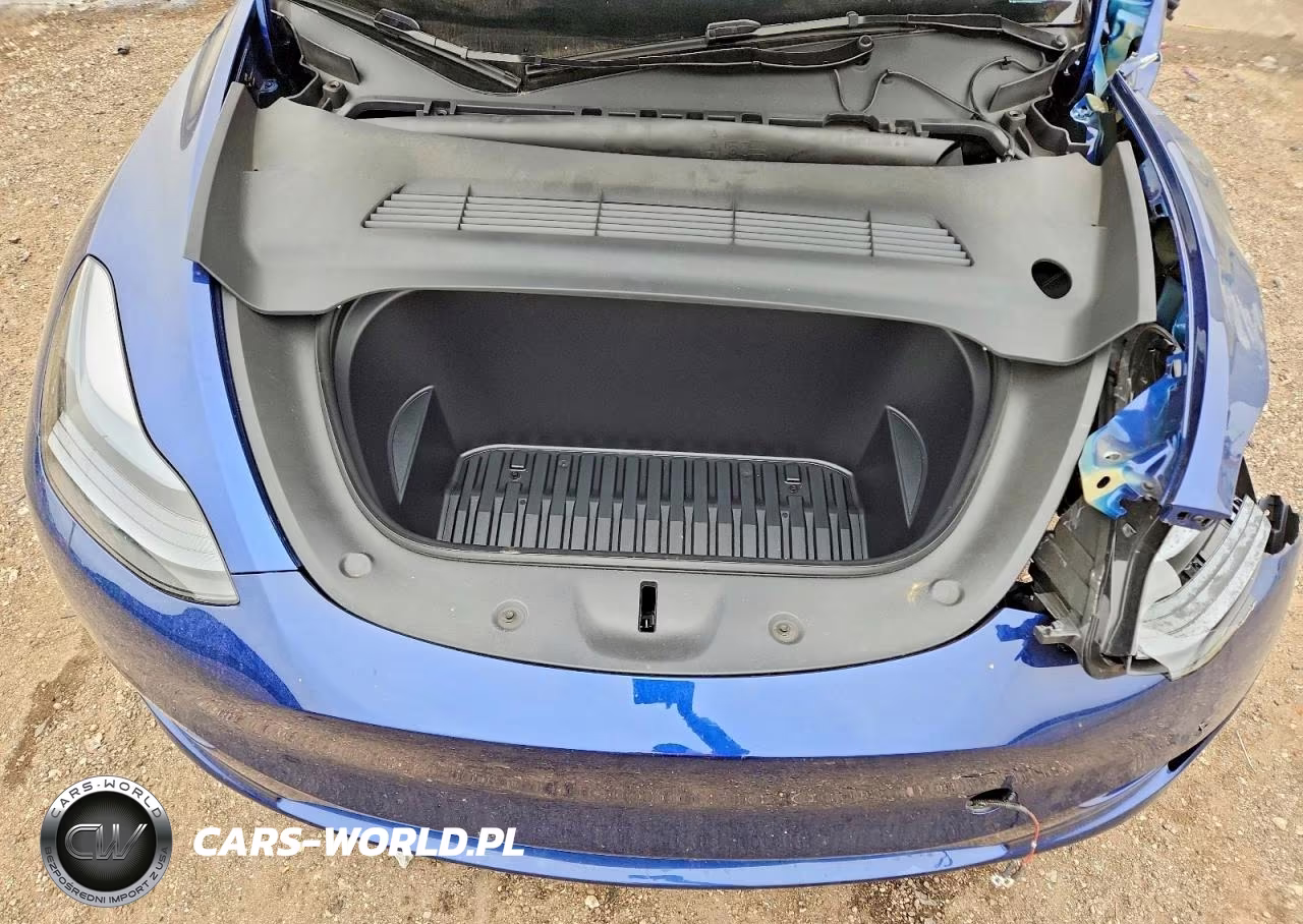 2024 Tesla Model Y VIN:7SAYGDED1RA333405 - 12