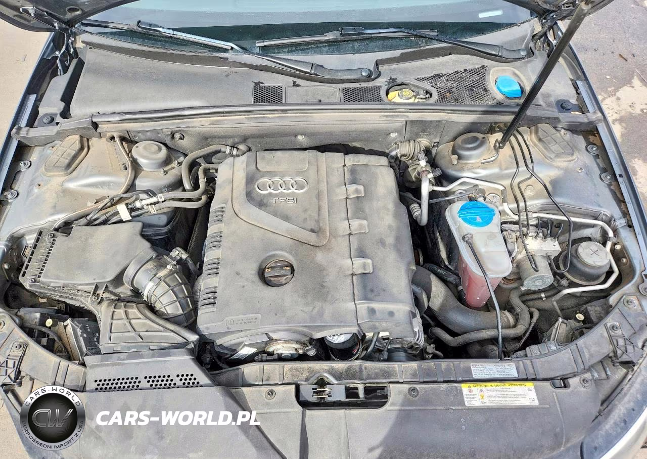 2012 Audi A4 Premium Plus VIN:WAUFFAFL7CA103640 - 11