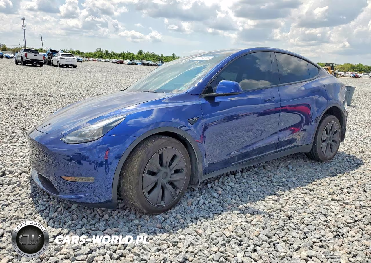 2025 Tesla Model Y