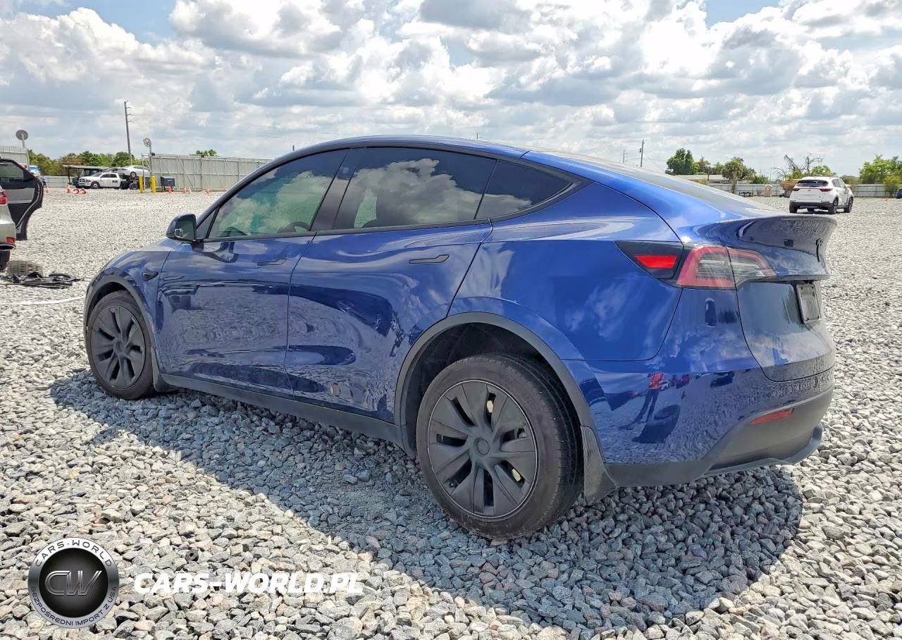 2025 Tesla Model Y VIN:7SAYGDED4SF249216 - 2