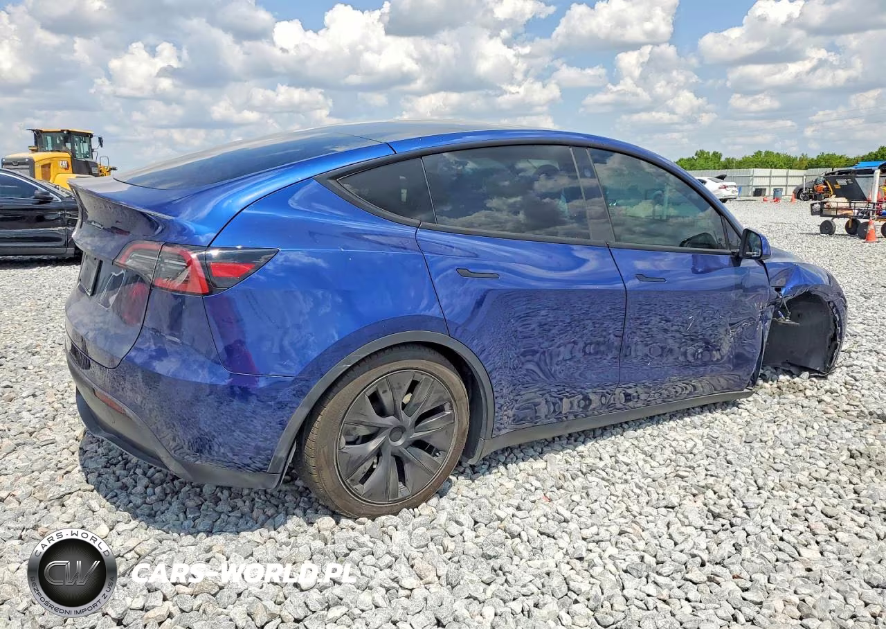 2025 Tesla Model Y VIN:7SAYGDED4SF249216 - 3
