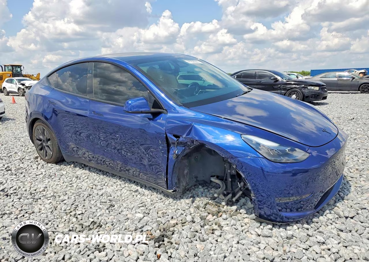 2025 Tesla Model Y VIN:7SAYGDED4SF249216 - 4
