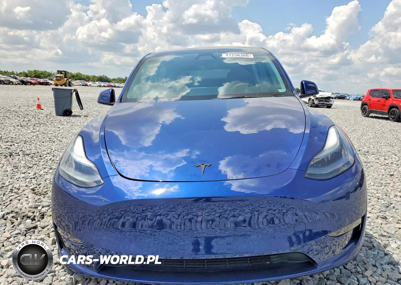 2025 Tesla Model Y VIN:7SAYGDED4SF249216 - 5