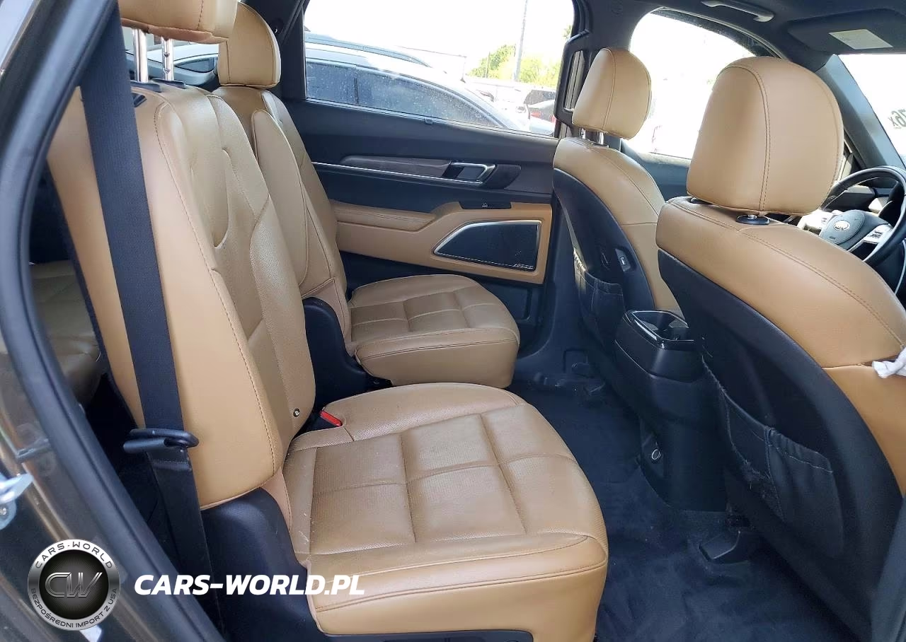 2021 Kia Telluride Sx VIN:5XYP54HCXMG110852 - 11