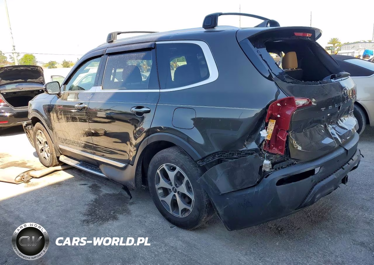 2021 Kia Telluride Sx VIN:5XYP54HCXMG110852 - 2