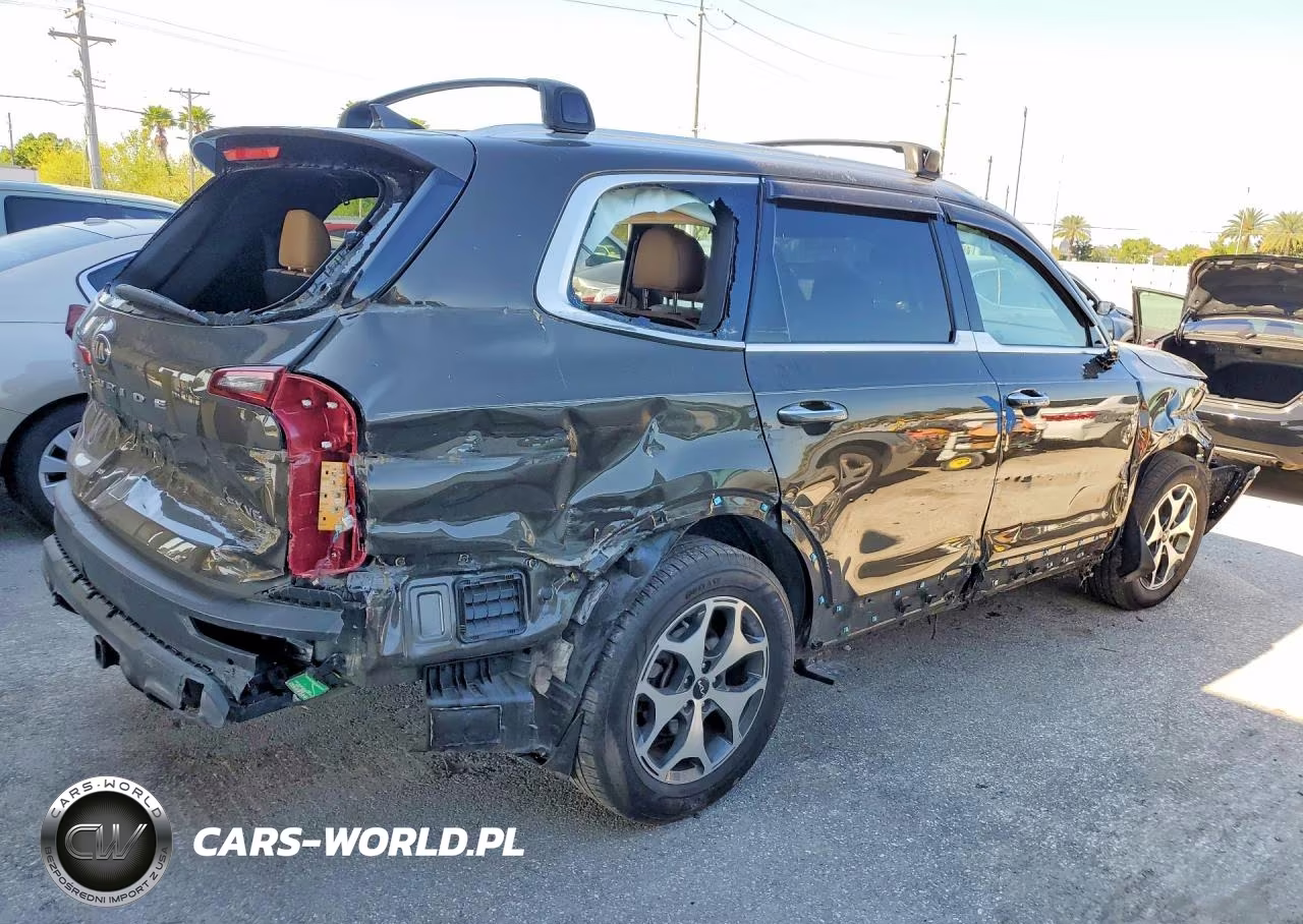 2021 Kia Telluride Sx VIN:5XYP54HCXMG110852 - 3