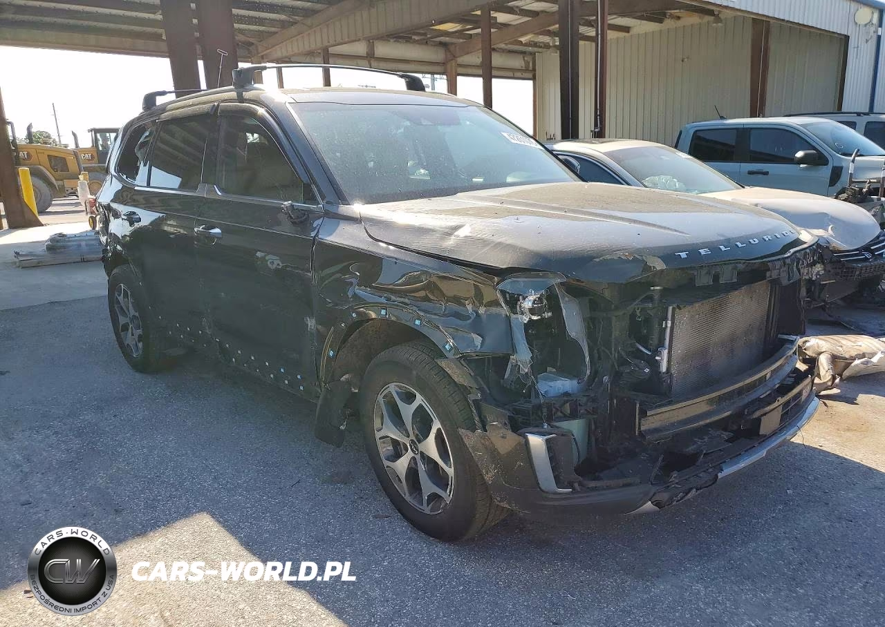 2021 Kia Telluride Sx VIN:5XYP54HCXMG110852 - 4
