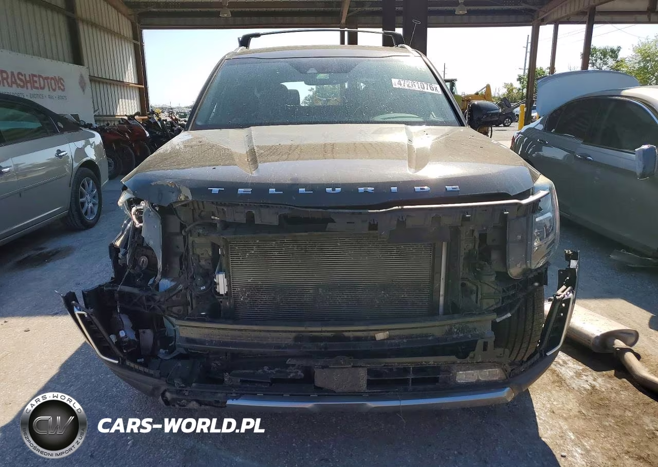 2021 Kia Telluride Sx VIN:5XYP54HCXMG110852 - 5