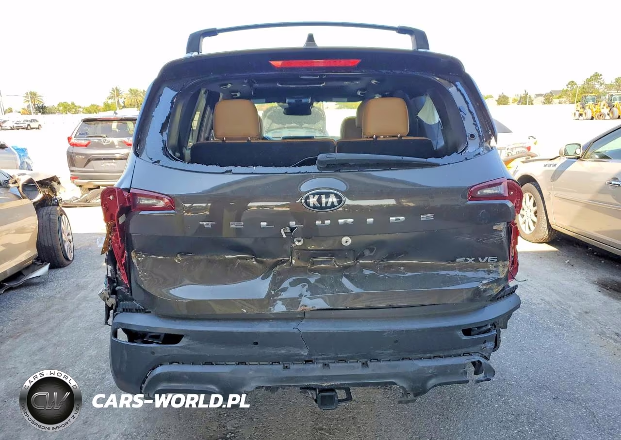 2021 Kia Telluride Sx VIN:5XYP54HCXMG110852 - 6
