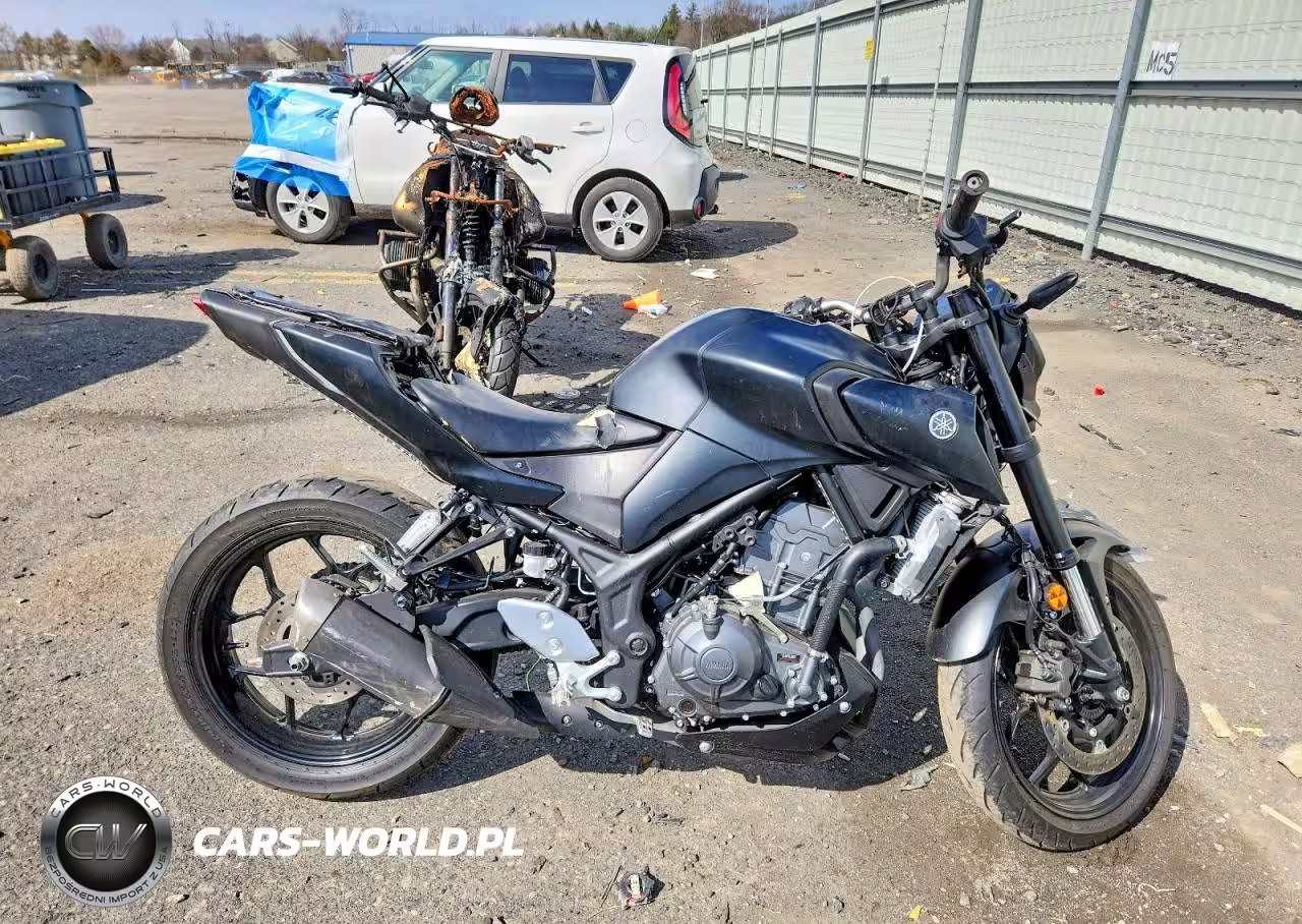 2025 Yamaha Mtn320 A