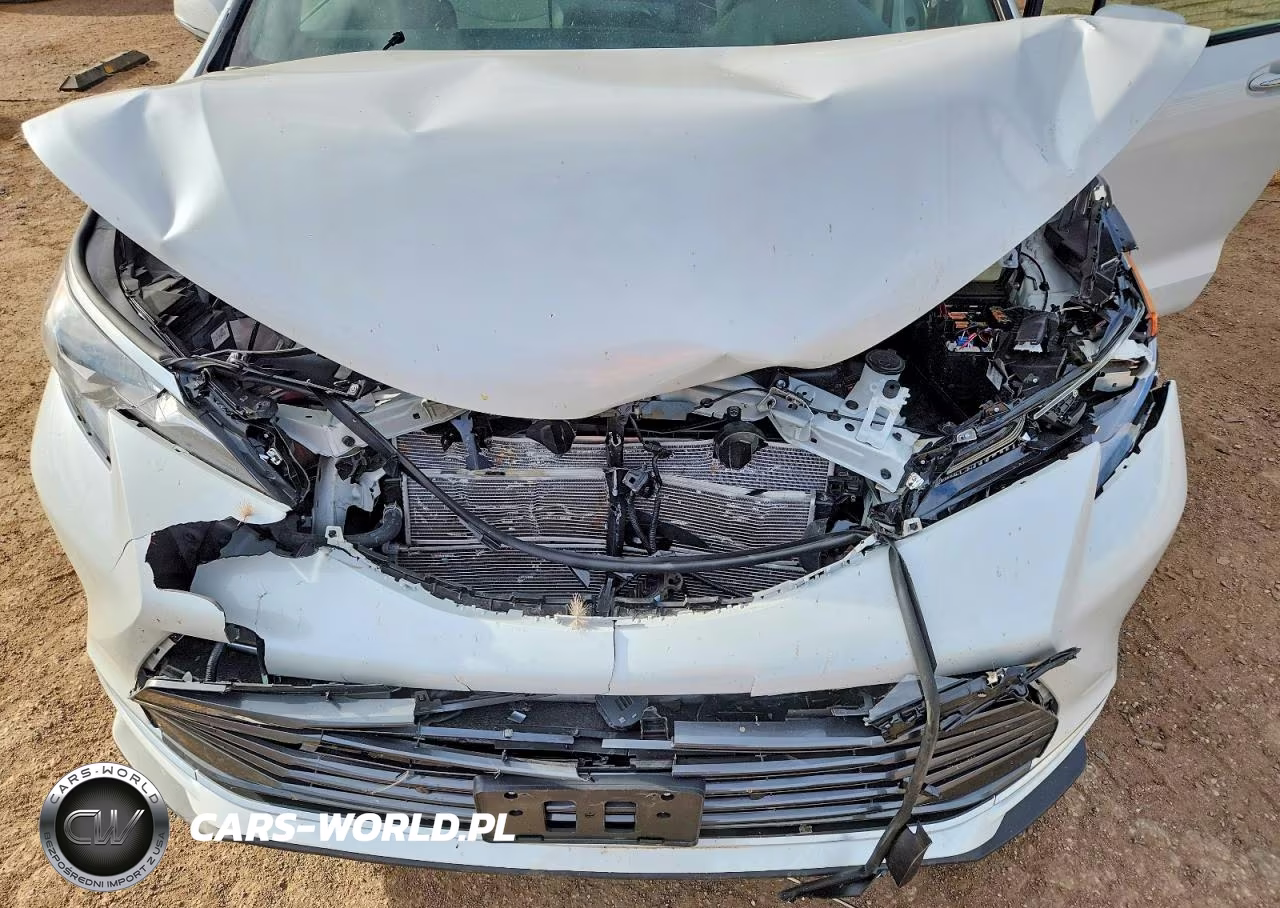 2025 Toyota Sienna Platinum 7-Passenger VIN:5TDESKFC6SS197379 - 12