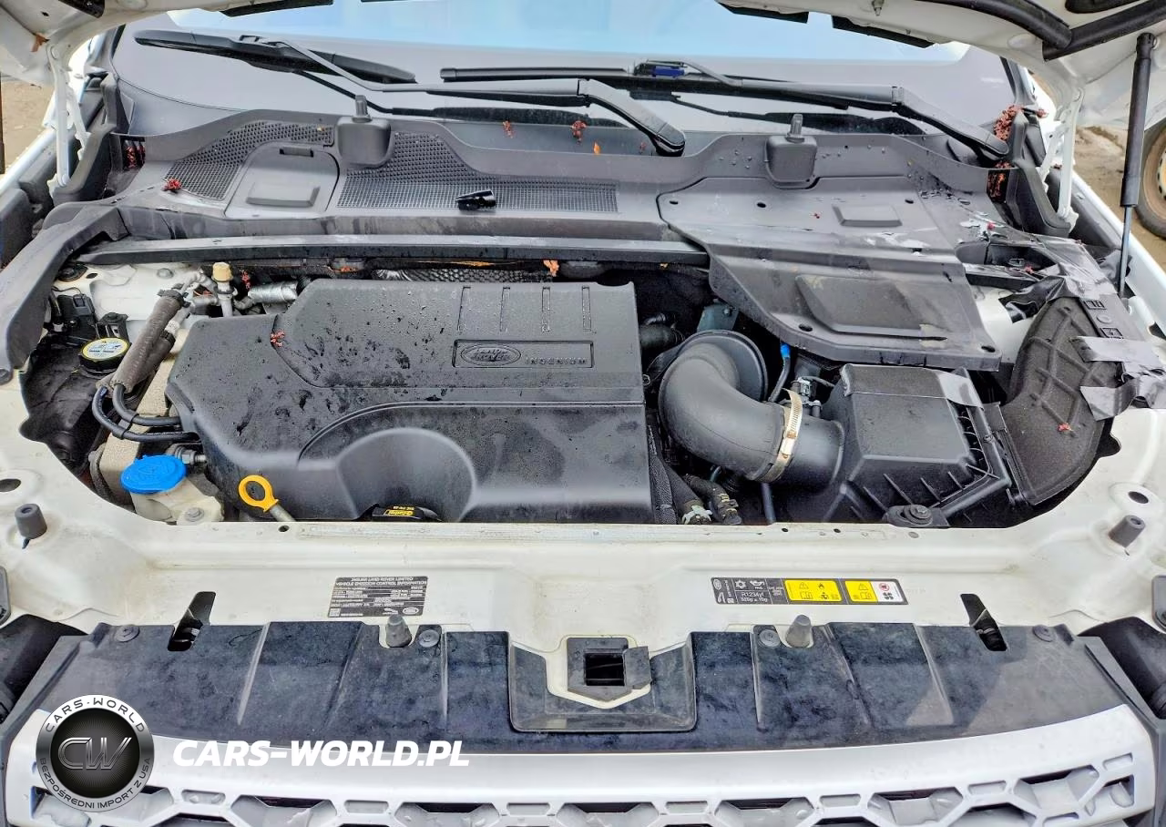 2019 Land Rover Discovery Sport Hse VIN:SALCR2FX1KH790523 - 12
