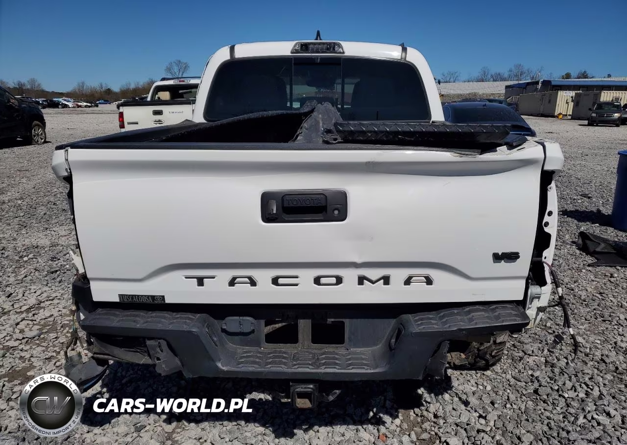 2019 Toyota Tacoma Double Cab VIN:3TMAZ5CN7KM099771 - 6