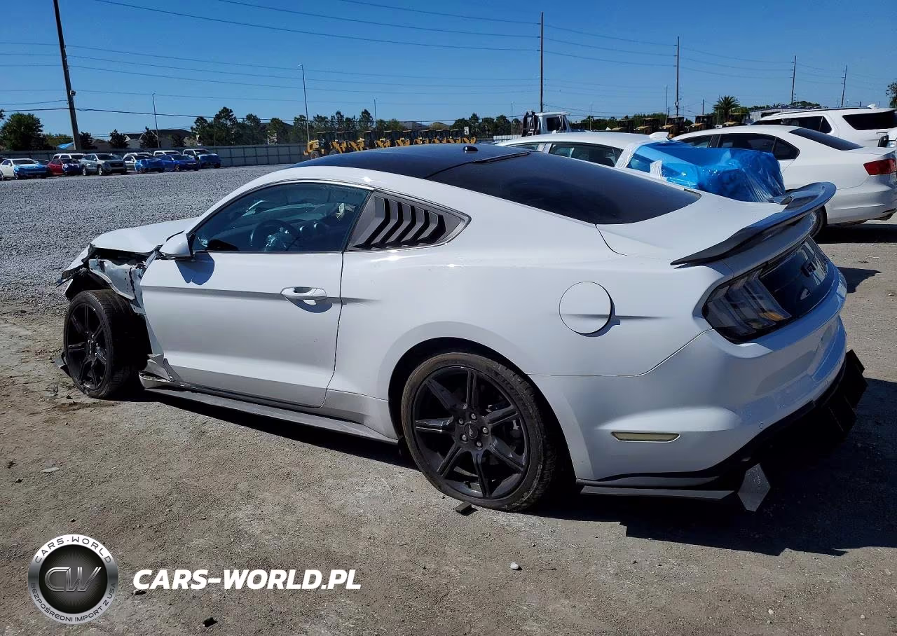 2019 Ford Mustang Gt VIN:1FA6P8CF4K5192796 - 2