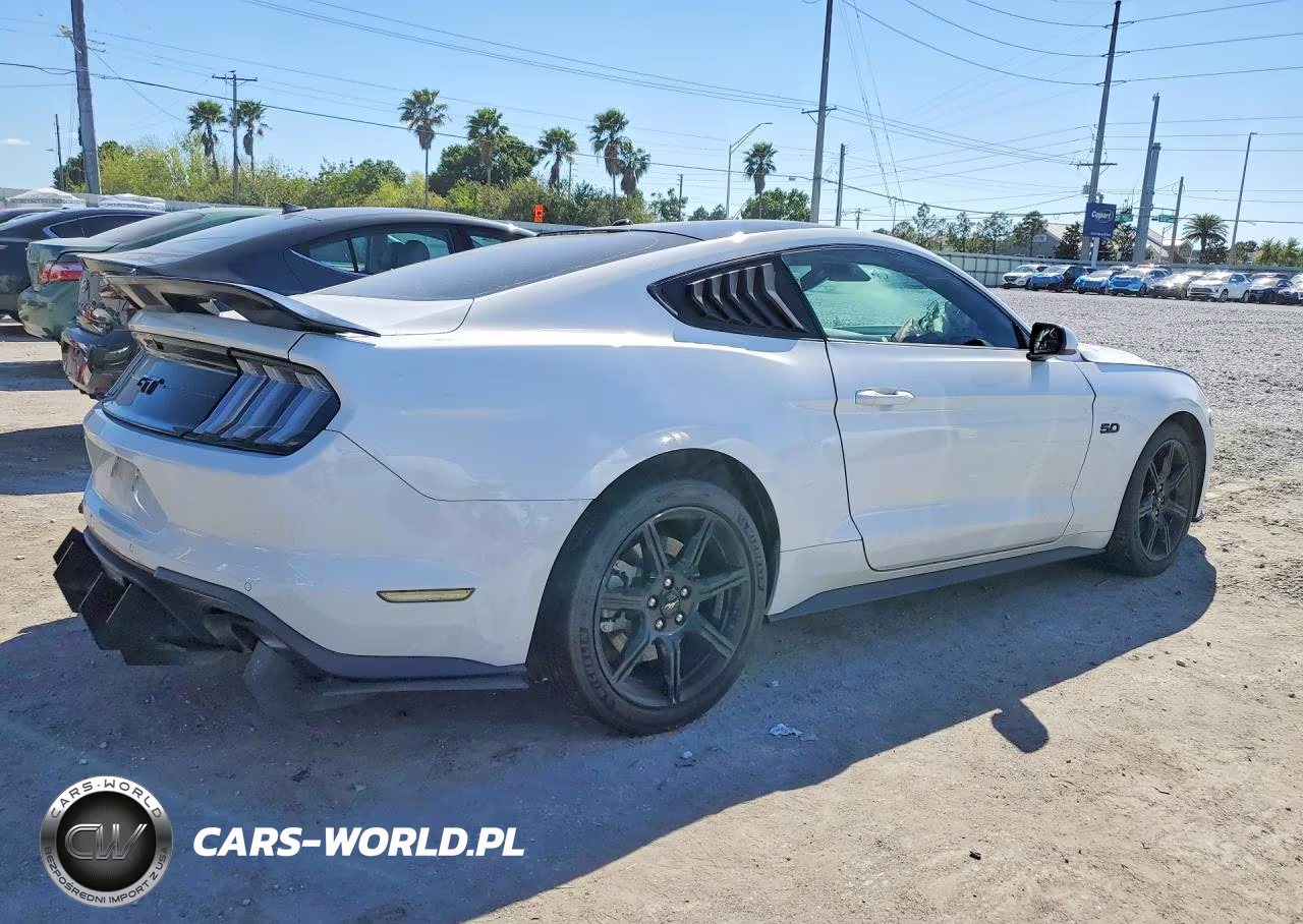 2019 Ford Mustang Gt VIN:1FA6P8CF4K5192796 - 3
