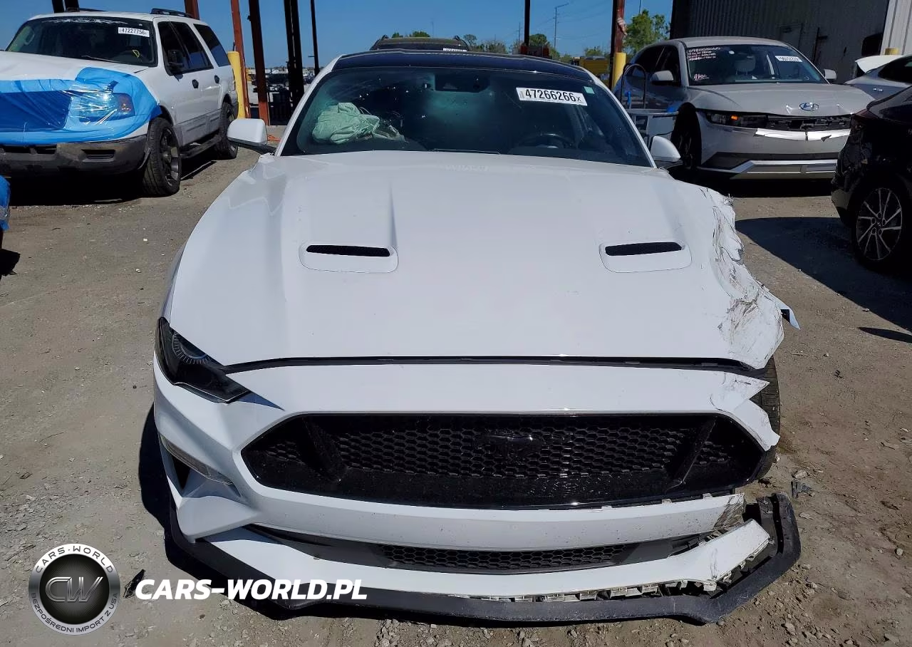 2019 Ford Mustang Gt VIN:1FA6P8CF4K5192796 - 5