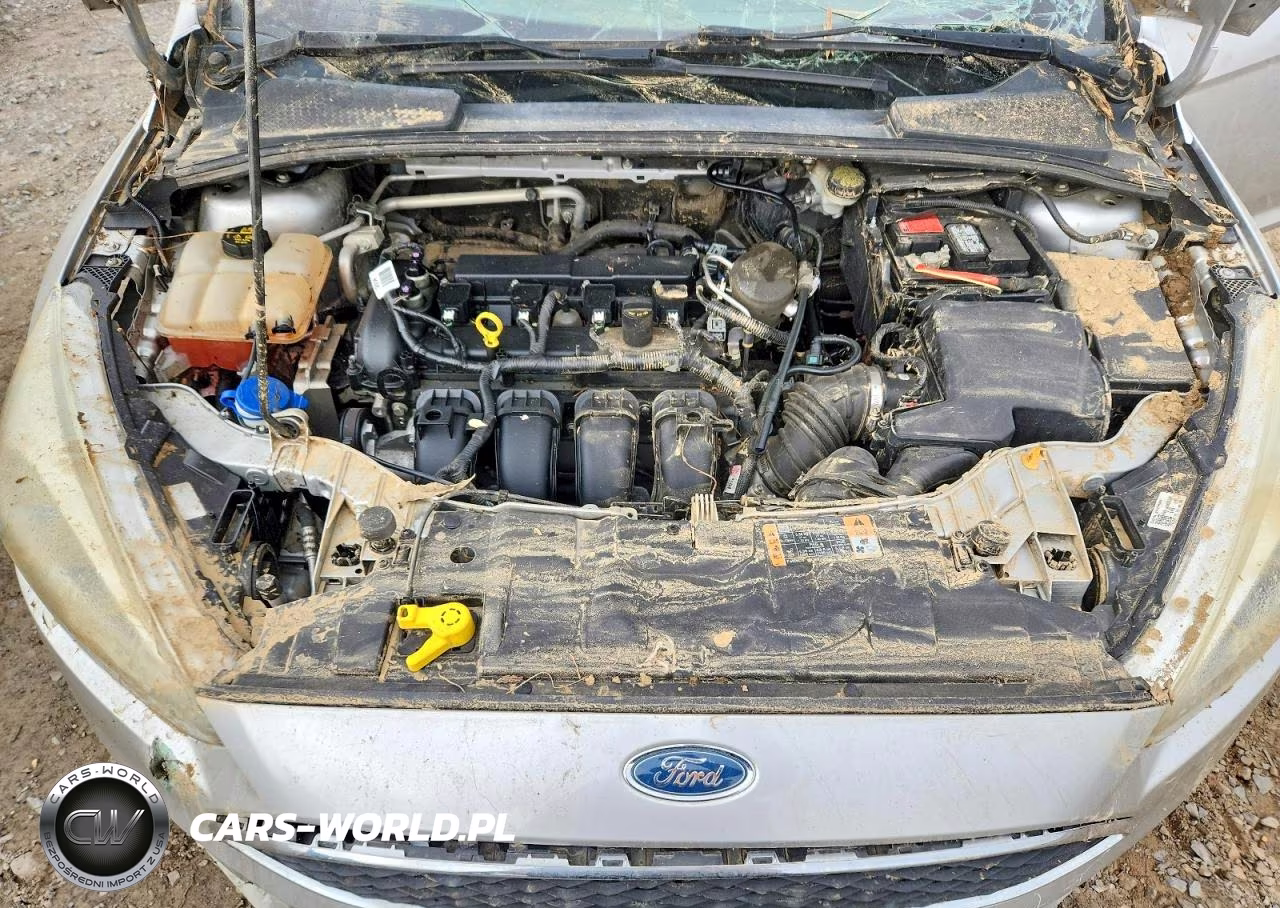 2015 Ford Focus Se VIN:1FADP3F28FL252728 - 11