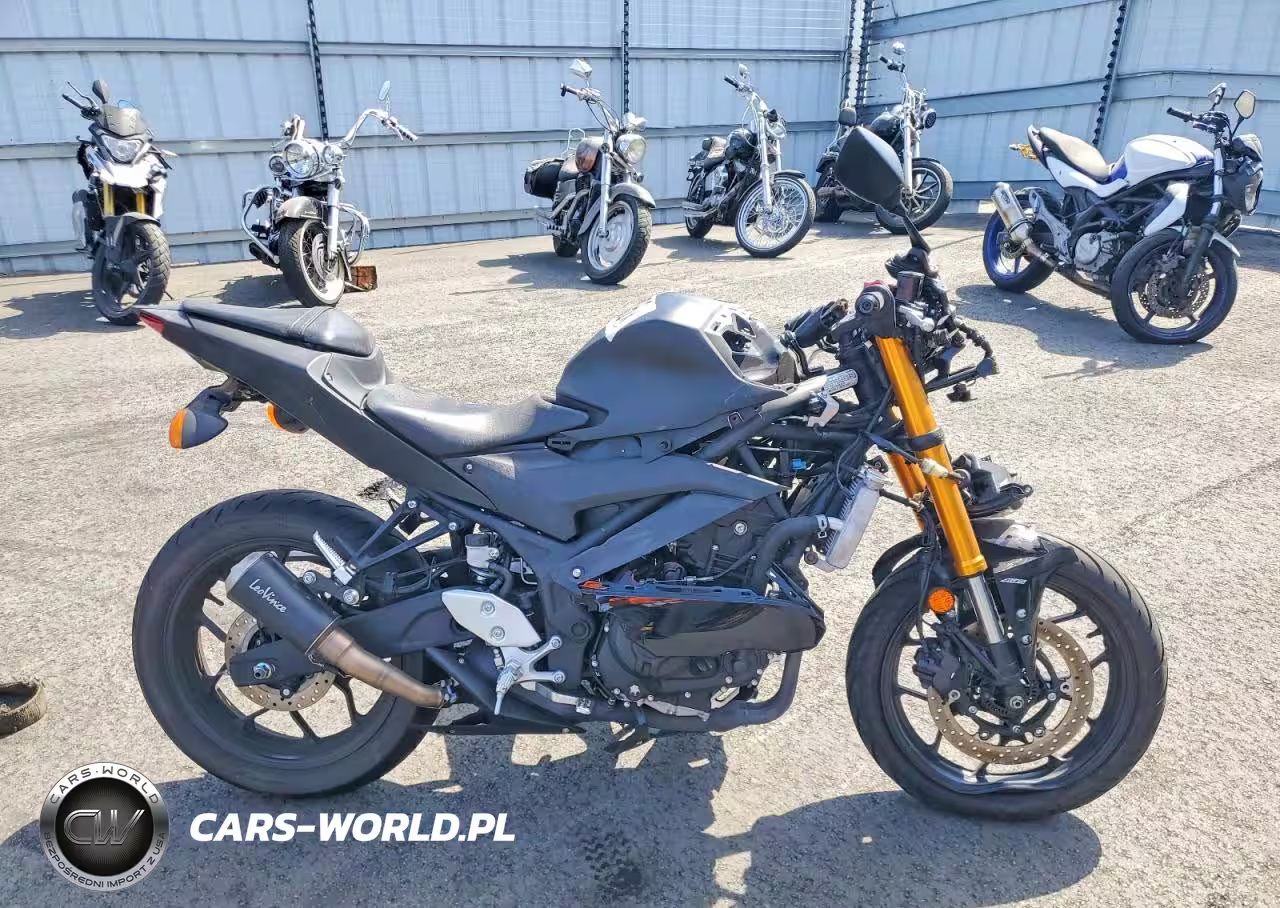 2019 Yamaha Yzfr3 A