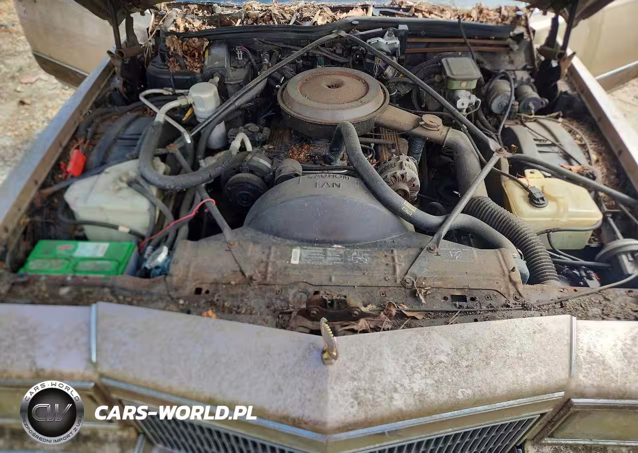 1992 Cadillac Brougham VIN:1G6DW5476NR710272 - 11