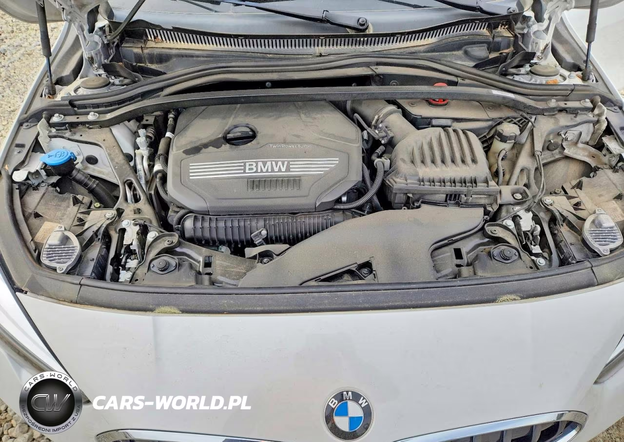 2024 BMW 228Xi VIN:WBA73AK09R7N11653 - 11